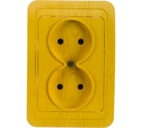 Двойная розетка СВЕТОЗАР ГАММА SV-54102-A
