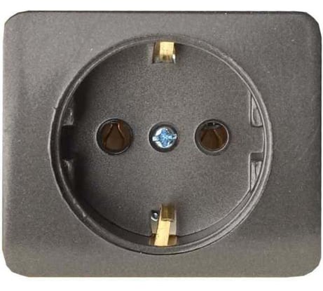 Одинарная розетка с заземлением СВЕТОЗАР ГАММА SV-54105-DM