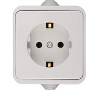 Розетка Светозар_ COUNTRY SV-54305-W с/з