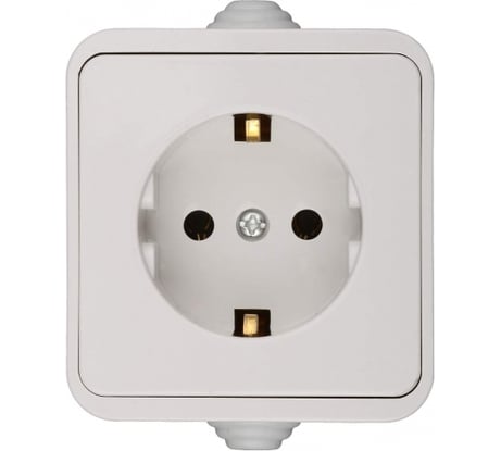 Розетка Светозар_ COUNTRY SV-54305-W с/з