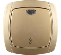 Проходной выключатель одноклавишный с индикатором СВЕТОЗАР АКЦЕНТ SV-54238-GM