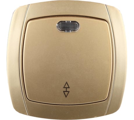 Проходной выключатель одноклавишный с индикатором СВЕТОЗАР АКЦЕНТ SV-54238-GM