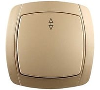 Выключатель проходной одноклавишный СВЕТОЗАР АКЦЕНТ SV-54237-GM