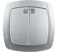 Двухклавишный выключатель с индикатором СВЕТОЗАР АКЦЕНТ SV-54235-SM