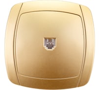 Одинарная телефонная розетка СВЕТОЗАР АКЦЕНТ SV-54217-GM