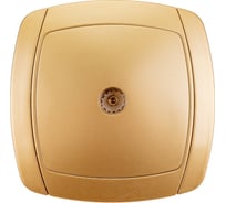 Одинарная телевизионная розетка СВЕТОЗАР АКЦЕНТ SV-54215-GM