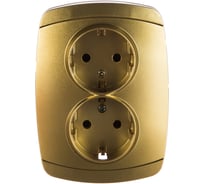 Двойная розетка с заземлением Светозар_ АКЦЕНТ SV-54207-GM