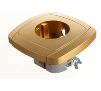 Одинарная розетка с заземлением СВЕТОЗАР АКЦЕНТ SV-54205-GM