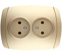 Двойная розетка СВЕТОЗАР АКЦЕНТ SV-54202-GM