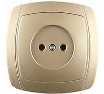 Одинарная розетка СВЕТОЗАР АКЦЕНТ SV-54200-GM