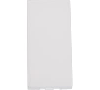 Заглушка LK Studio 45х22,5 мм белый LK45 855104-1