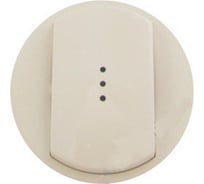 Выключатель Legrand Celiane 67217