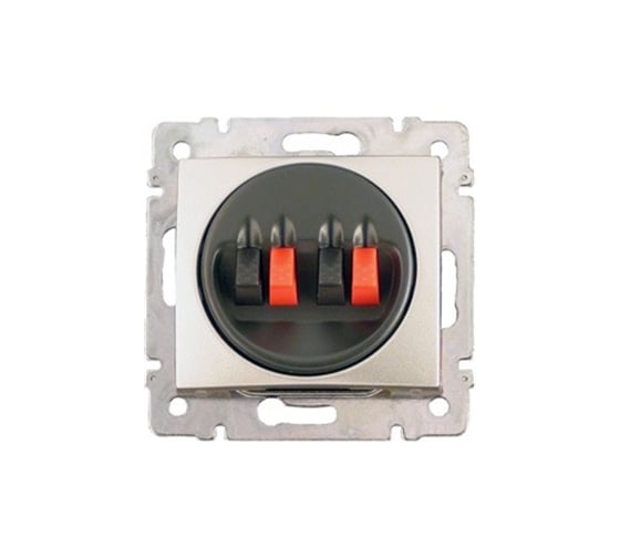 Двойная аудиорозетка, алюминий Legrand Valena 770124