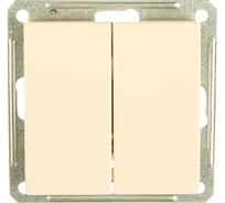 Двухклавишный выключатель, бежевый WESSEN 59 Systeme Electric VS516-252-2-86