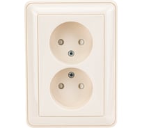 Двухместная розетка с рамкой, слоновая кость WESSEN 59 Systeme Electric RS16-254-28 15170873