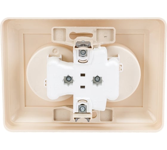 Двухместная розетка с рамкой, слоновая кость WESSEN 59 Systeme Electric RS16-254-28