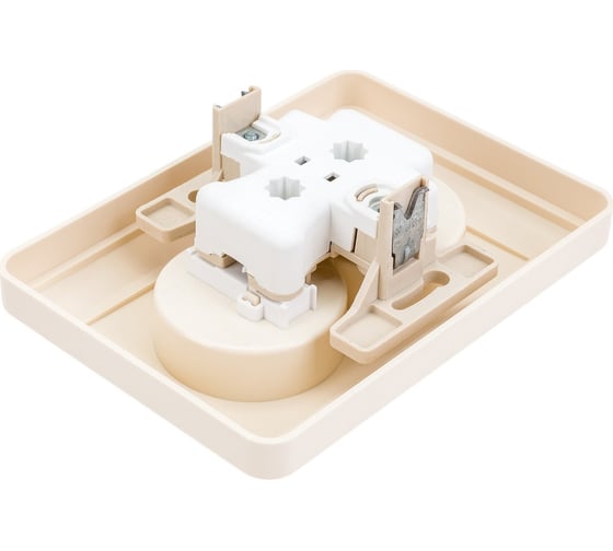 Двухместная розетка с рамкой, слоновая кость WESSEN 59 Systeme Electric RS16-254-28