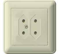 Двойная розетка для узких вилок с рамкой, бежевая 6А WESSEN 59 Schneider ELectric RS6-253-28
