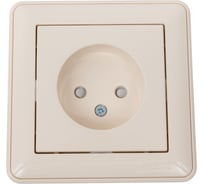 Розетка с рамкой, слоновая кость WESSEN 59 Systeme Electric RS16-151-28