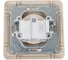 Розетка с рамкой, слоновая кость WESSEN 59 Systeme Electric RS16-151-28 3