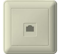 Компьютерная розетка с рамкой, слоновая кость RJ45 5 категория WESSEN 59 Systeme Electric RSI-152K5E-28