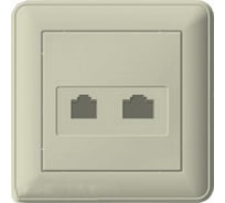 Компьютерная двойная розетка с рамкой, бежевая RJ45 кат 5e WESSEN 59 Schneider ELectric RSI-251KK5E-28