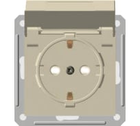 Розетка с заземлением, с крышкой, с защитными шторками, бежевая IP44 WESSEN 59 Schneider ELectric RS16-152B-2-86