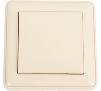 Розетка с заземлением, с крышкой, с защитными шторками, слоновая кость IP44 WESSEN 59 Systeme Electric RS16-152B-28