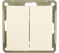 Двухклавишный выключатель, белый WESSEN 59 Systeme Electric VS516-252-1-86