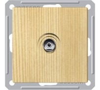 Телевизионная оконечная розетка, сосна WESSEN 59 Systeme Electric RTS-151-7-86