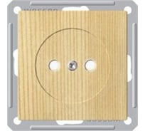 Розетка, сосна WESSEN 59 Schneider ELectric RS16-151-7-86