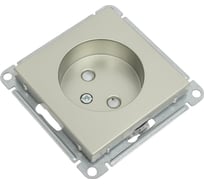 Розетка, шампань WESSEN 59 Systeme Electric RS16-151-4-86