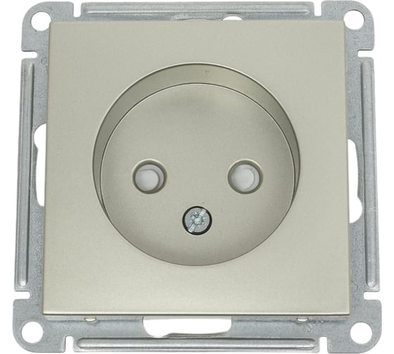 Розетка, шампань WESSEN 59 Systeme Electric RS16-151-4-86