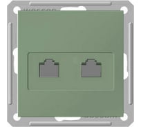 Двойная компьютерная розетка, шампань 2хRJ45 5e категории WESSEN 59 Schneider ELectric RSI-251KK5E-4-86
