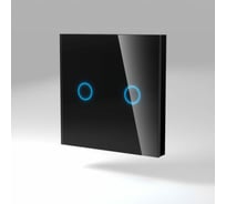 Сенсорная беспроводная радиопанель CGSS стекло изготовлено по технологии Optiwhite, на две линии, черная, Эстетика 86х86 TSP-L2R-BCG