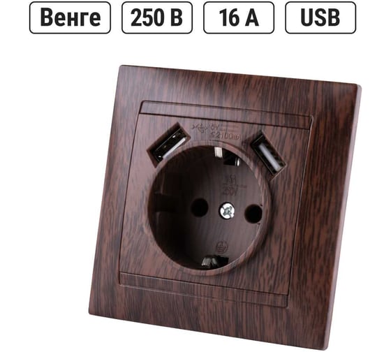 Розетка TDM ELECTRIC 2П+З 16А 250В + 2 USB порта 2,1А 5В венге "Лама" SQ1815-0442