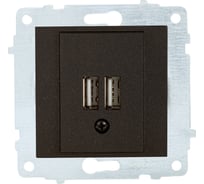 Механизм розетки USB OVIVO 5V-2A 2 порта, черный металлик, 600-000317-247