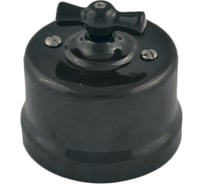 Перекрестный выключатель Bironi, пластик, цвет черный B1-203-23