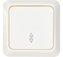 Одноклавишный проходной выключатель UNIVersal Олимп о/у, 10А, 220В Б-О0025