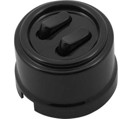 2-клавишный выключатель Bironi, пластик, цвет черный (клавишный) B1-222-23