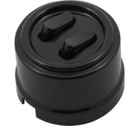 Кнопка Bironi (двухклавишная), пластик, цвет черный B1-222-23-PB