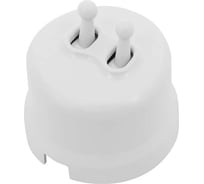 Кнопка Bironi (двухтумблерная), пластик, цвет белый B1-232-21-PB