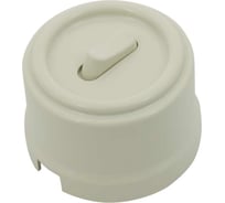 Кнопка Bironi (одноклавишная), пластик, цвет слоновая кость B1-220-211-PB