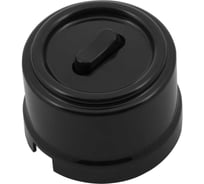 Кнопка Bironi (одноклавишная), пластик, цвет черный B1-220-23-PB