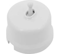 Кнопка Bironi (однотумблерная), пластик, цвет белый B1-230-21-PB