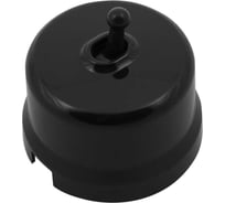 Кнопка Bironi (однотумблерная), пластик, цвет черный B1-230-23-PB