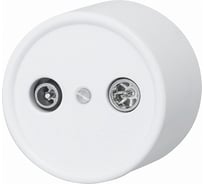 Розетка Bironi r/tv-sat проходная, пластик, цвет белый B1-304-21