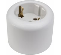 Розетка Bironi двухполюсная с зк, rf, пластик, белый R1-101-21 23790321