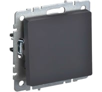 1-клавишный выключатель IEK Brite 10а вс10-1-0-брг графит BR-V10-0-10-K53 24594093