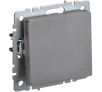 1-клавишный выключатель IEK Brite самовозвратный 10а вс10-1-4-брс сталь BR-V14-0-10-K46